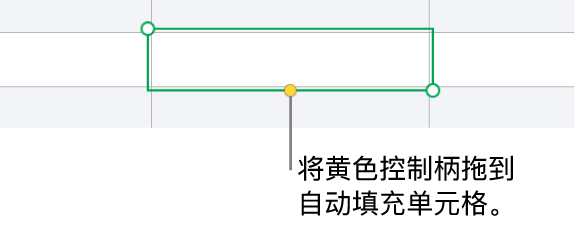 所选单元格带有黄色控制柄,可拖移以自动填充单元格。