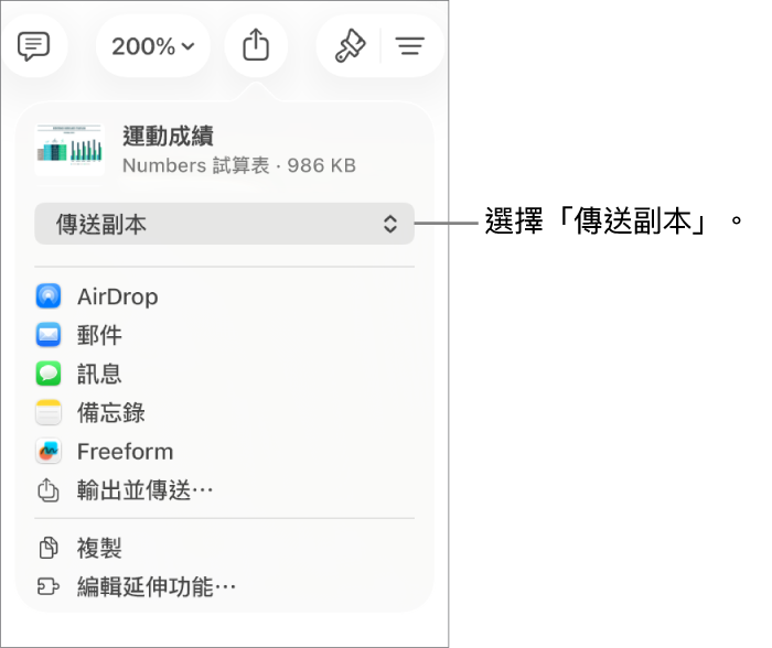 共享選單最上方的「傳送副本」已被選取。