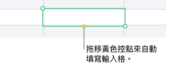 選取的輸入格帶有黃色控點,你可以拖移來自動填滿輸入格。