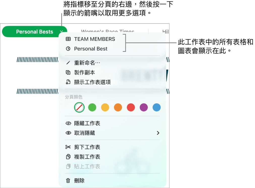 用於編輯和隱藏工作表的分頁列。
