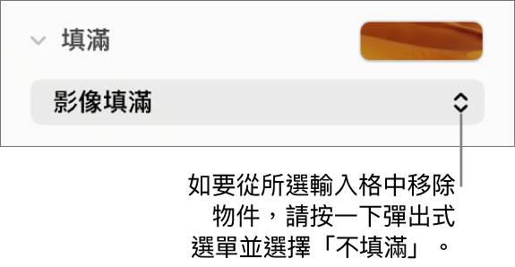 移除輸入格物件的控制項目。