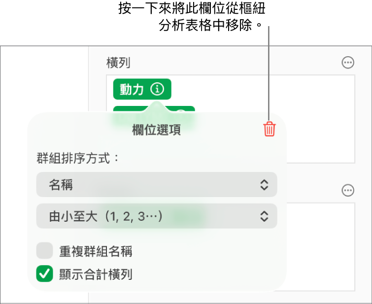 「欄位選項」選單，其顯示群組和排序資料的控制項目，以及移除欄位的選項。