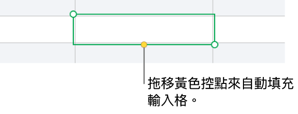 選取的輸入格帶有黃色控點,你可以拖移來自動填充輸入格。