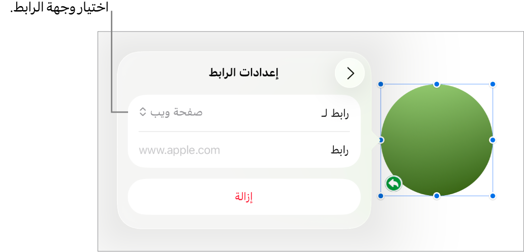 عناصر التحكم في إعدادات الرابط تعرض خيار صفحة الويب محددًا ويظهر زر إزالة في الأسفل.