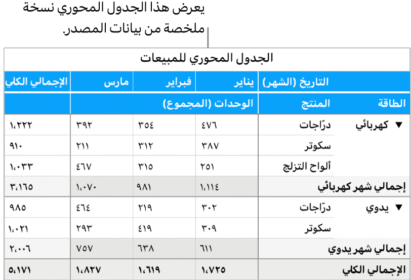 جدول محوري يعرض بيانات ملخصة وعناصر تحكم للكشف عن بيانات معينة.