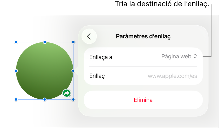 Controls “Paràmetres d’enllaç” amb l’opció “Pàgina web” seleccionada i el botó “Elimina” situat a la part inferior.