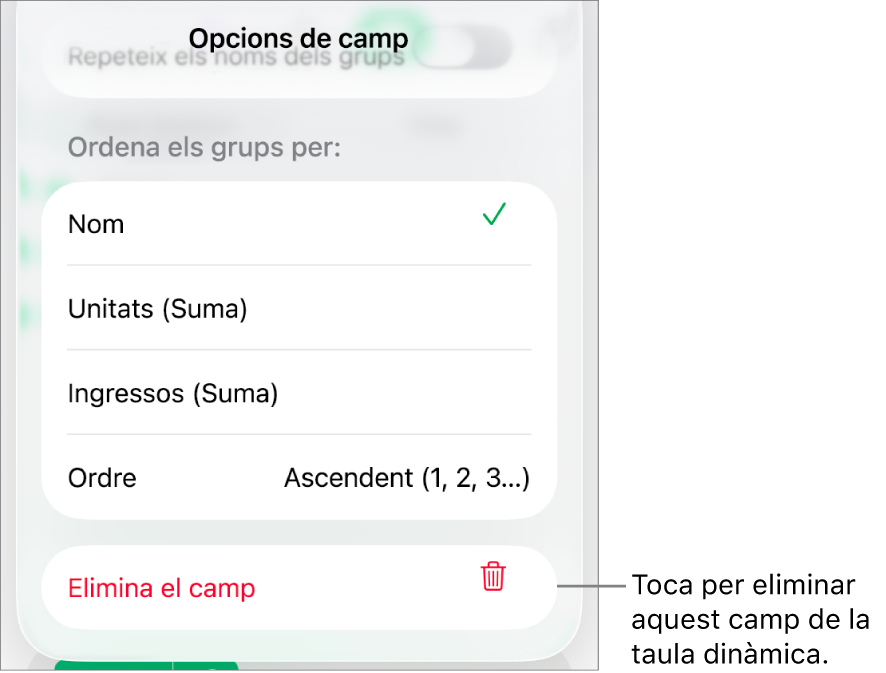 El menú “Opcions de camp”, que mostra els controls per agrupar i ordenar dades, a més de l’opció per eliminar un camp.