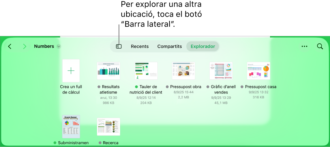 Vista d’exploració del gestor de documents amb el botó “Barra lateral” a l’angle superior esquerre. A la part superior dreta, hi el els botons “Afegeix”, “Nova carpeta” i “Icones” (per poder ordenar per nom, data, mida o etiqueta) i els botons “Selecciona” i “Cerca”.
