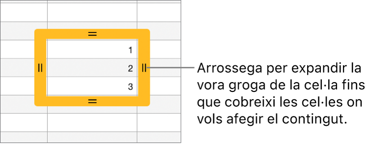 Una cel·la seleccionada, amb una vora groga ampla que pots arrossegar per autocompletar cel·les.