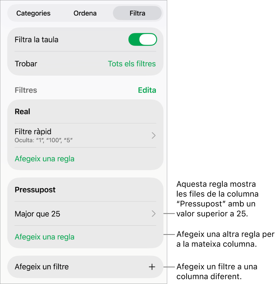 Controls per afegir noves regles de filtre o editar les regles existents.