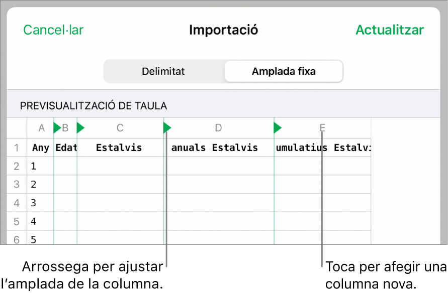 Els paràmetres d’importació d’un arxiu de text d’amplada fixa.