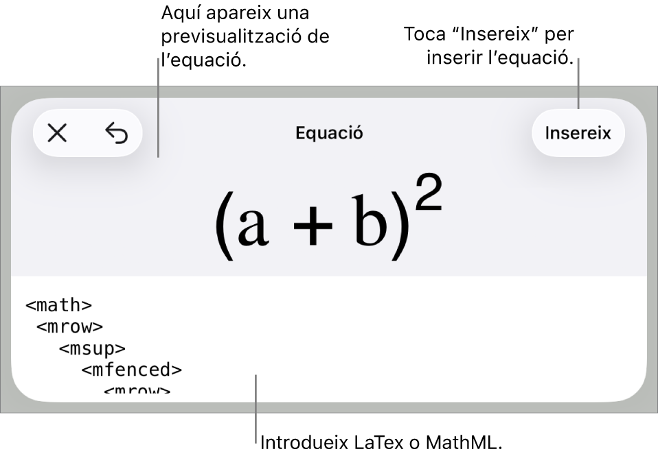 El quadre de diàleg Equació amb una equació escrita amb les ordres MathML i una previsualització de la fórmula al damunt.
