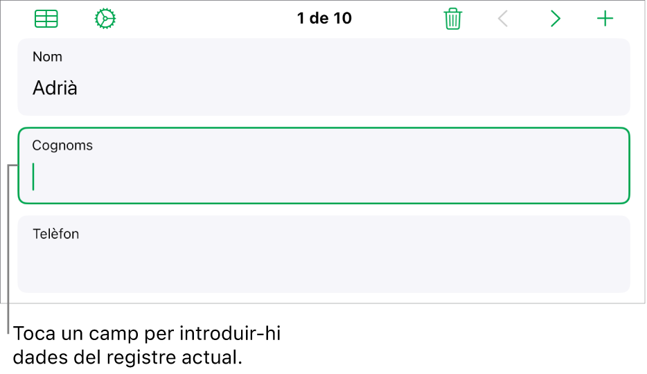 Un registre d’un formulari en què es mostra un camp actiu amb un punt d’inserció.