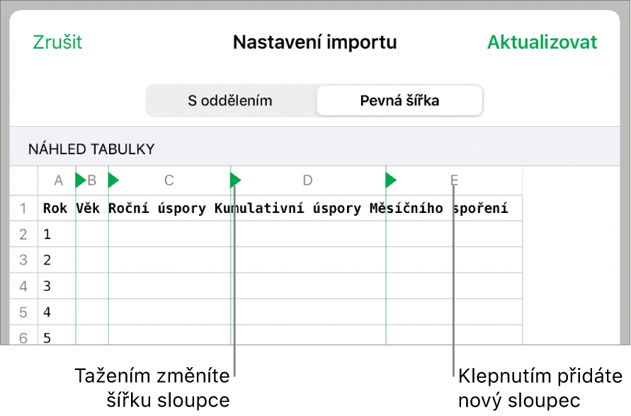 Nastavení importu pro text s pevnou šířkou.