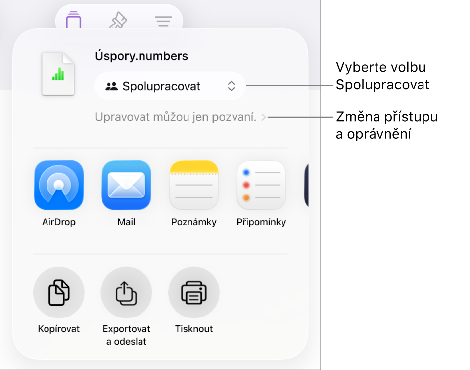 Nabídka sdílení, v níž je nahoře vidět vybraná volba Spolupracovat a pod ní volby pro nastavení přístupu a oprávnění