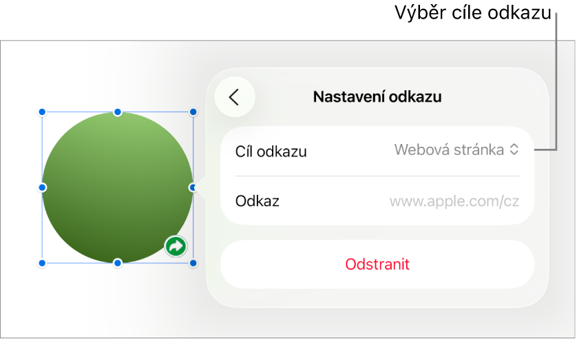 Ovládací prvky Nastavení odkazu s vybranou volbou Webová stránka a tlačítkem Odstranit v dolní části