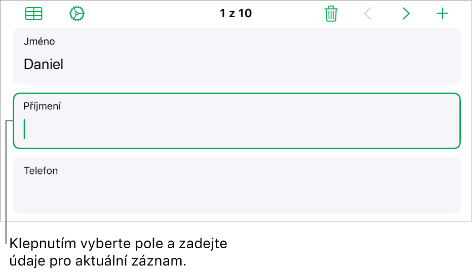 Záznam ve formuláři se zobrazeným aktivním polem, v němž se nachází kurzor