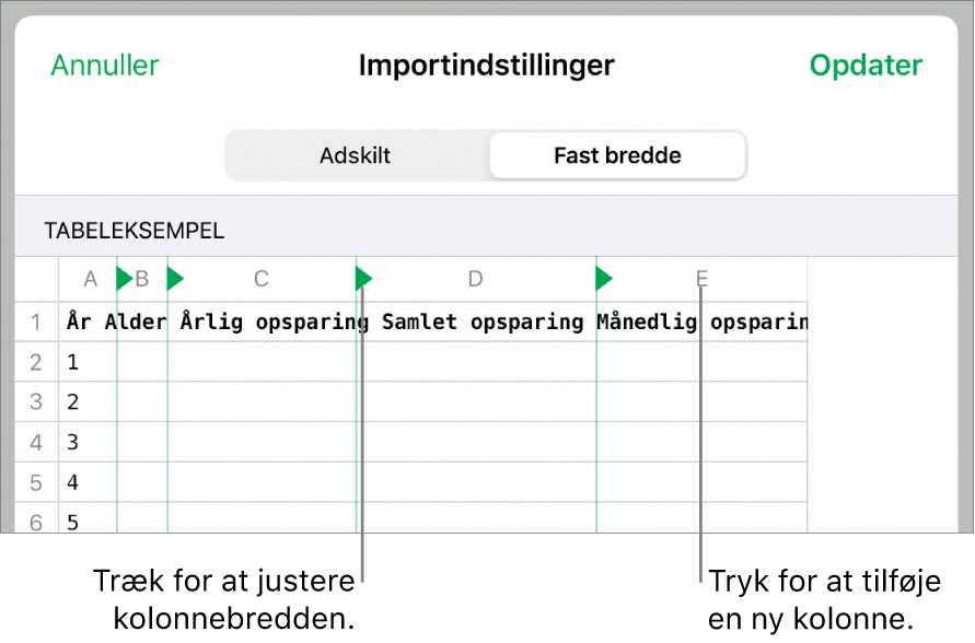 Importindstillingerne til et tekstarkiv med fast bredde.