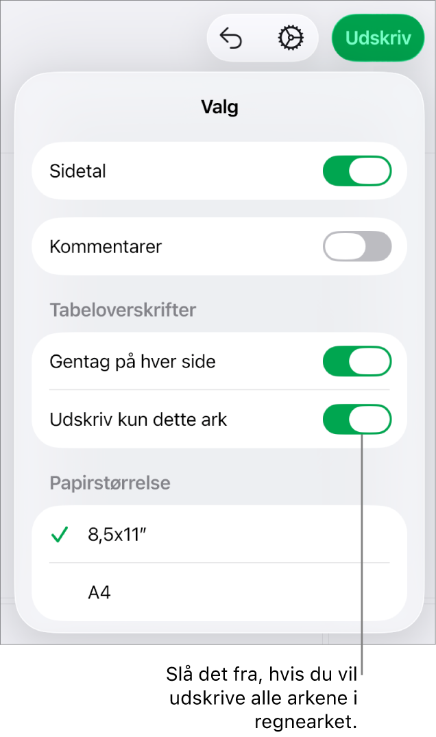 Vinduet Udskriftseksempel med indstillinger til visning af sidetal, ændring af papirstørrelsen og valg af, om hele regnearket eller kun det aktuelle ark skal udskrives.