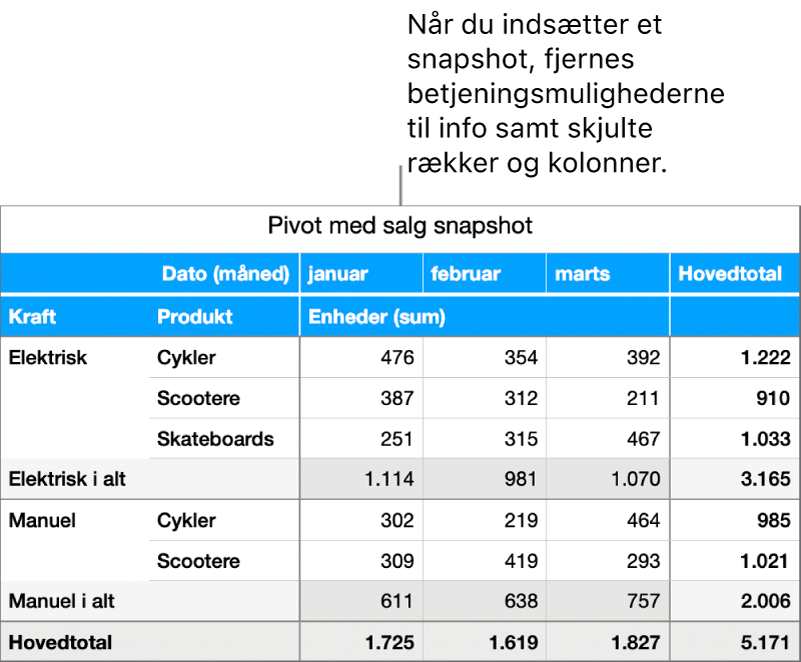 Snapshot af en pivottabel.
