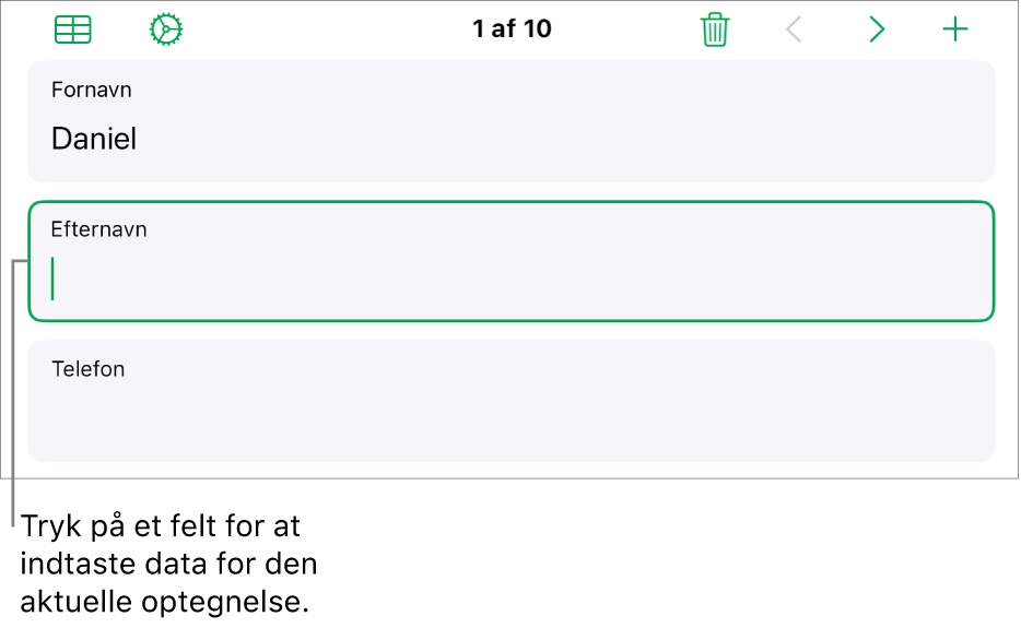 En optegnelse i en formular, der viser et aktivt felt med et indsætningsmærke.