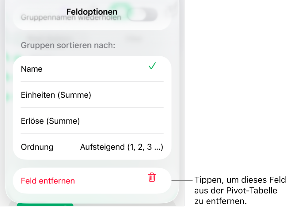Das Menü „Feldoptionen“ mit Steuerelementen zum Gruppieren und Sortieren von Daten sowie einer Option zum Entfernen eines Feldes.