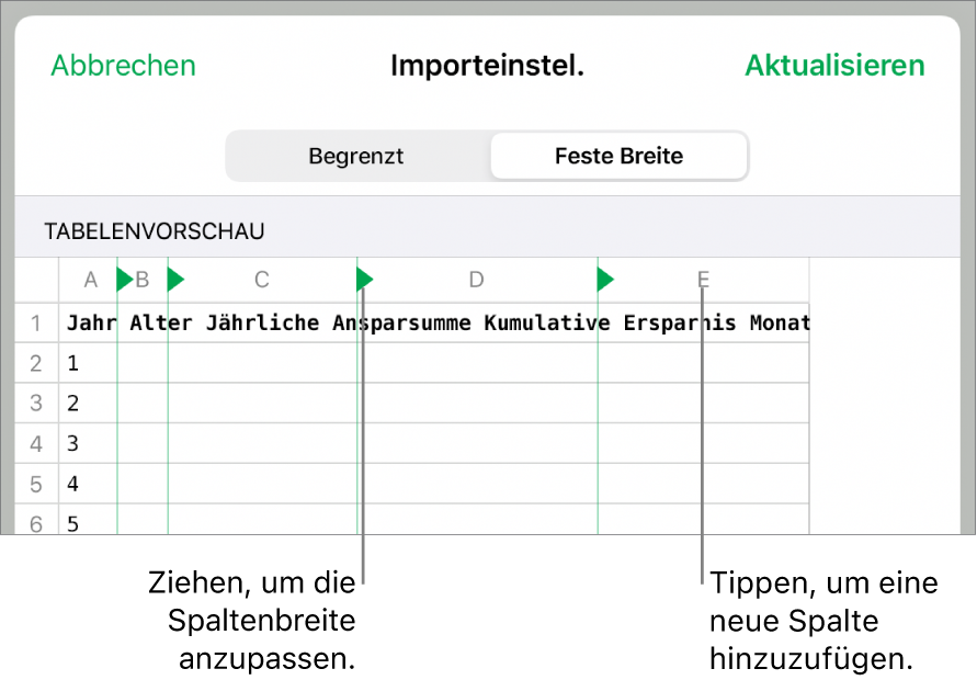 Die Importeinstellungen für eine Textdatei mit fester Breite.