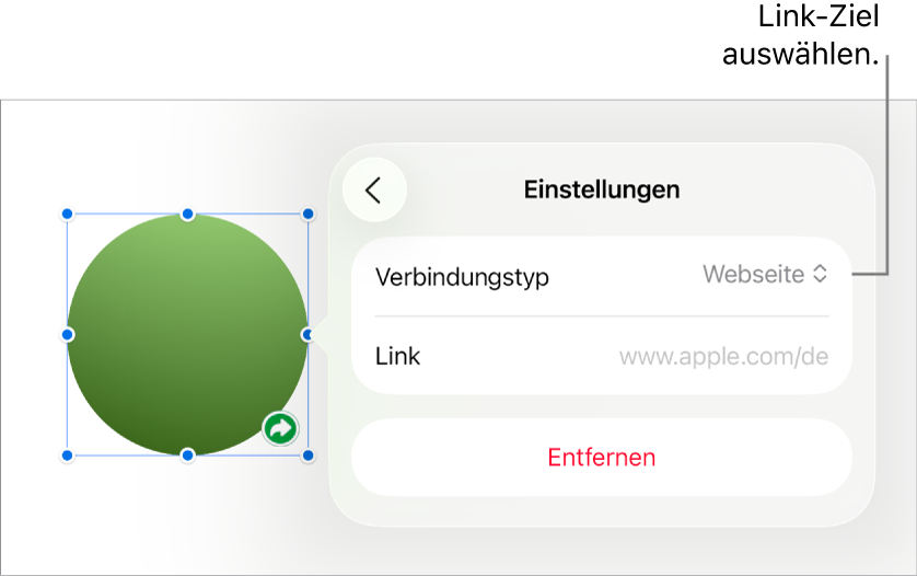 Die Steuerelemente der Linkeinstellungen mit ausgewählter Webseite und der Taste „Entfernen“ unten.
