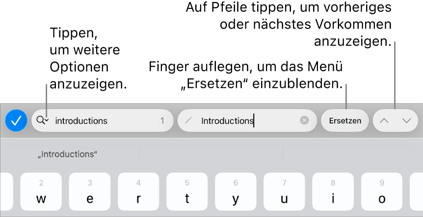 Die Steuerelemente „Suchen & Ersetzen“ über der Tastatur mit Beschreibungen zur Taste für Suchoptionen, zur Taste „Ersetzen“ und zu den Aufwärts- und Abwärts-Tasten.