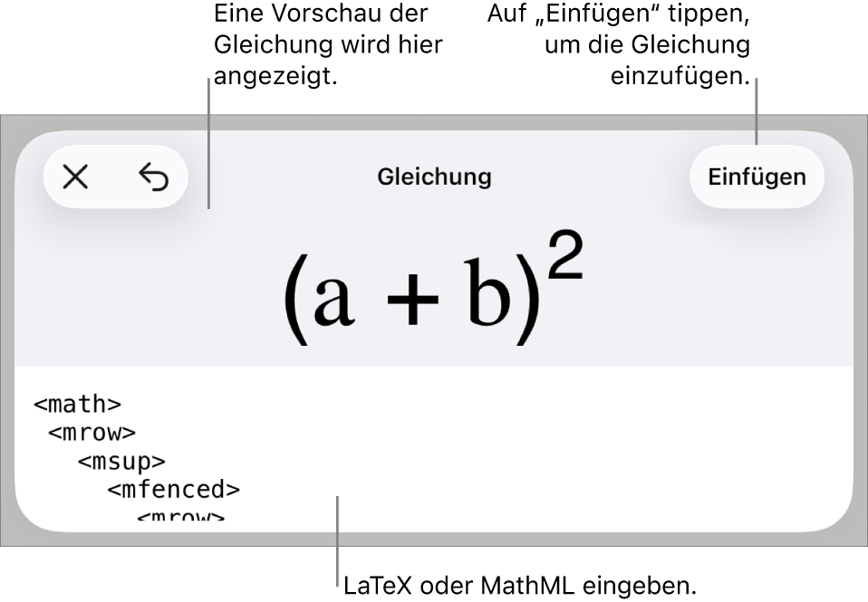 Im Dialogfenster „Gleichung“ wird eine Gleichung angezeigt, die mit MathML-Befehlen geschrieben wurde, darüber wird eine Vorschau der Formel angezeigt.