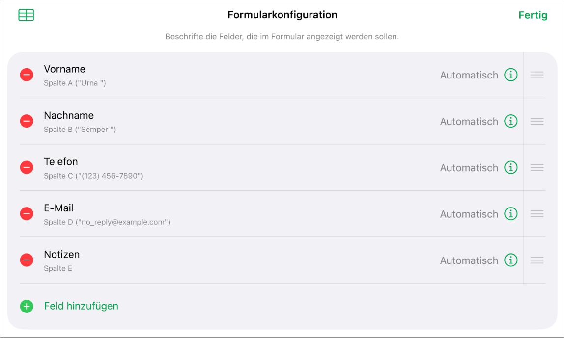 Die Steuerelemente für Formulareinstellungen mit den Optionen zum Hinzufügen, Bearbeiten, Anordnen und Löschen von Feldern sowie zum Ändern des Feldformats (wie zum Beispiel von „Text“ zu „Prozent“).