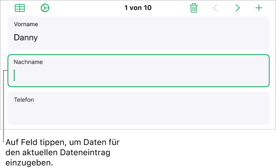 Ein Datensatz in einem Formular mit einem aktiven Feld und einer Einfügemarke.