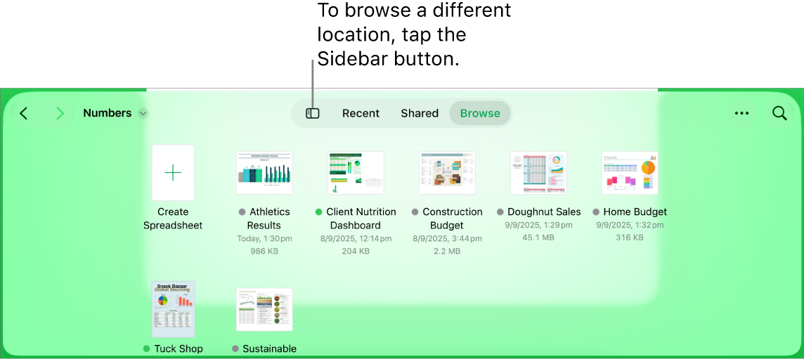 The browse view of the document manager with a location link in the top-left corner and below it a Search field. In the top-right corner are the Add a Spreadsheet button; the New Folder button; a pop-up menu to use list or icon view, and to filter by name, date, size, kind and tag; and the Select button. Below these are thumbnails of existing spreadsheets.