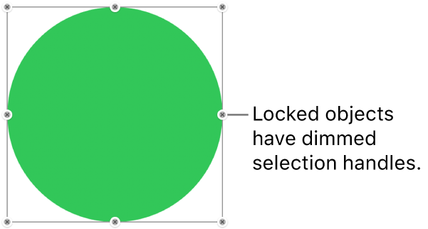 A locked object with dimmed selection handles.