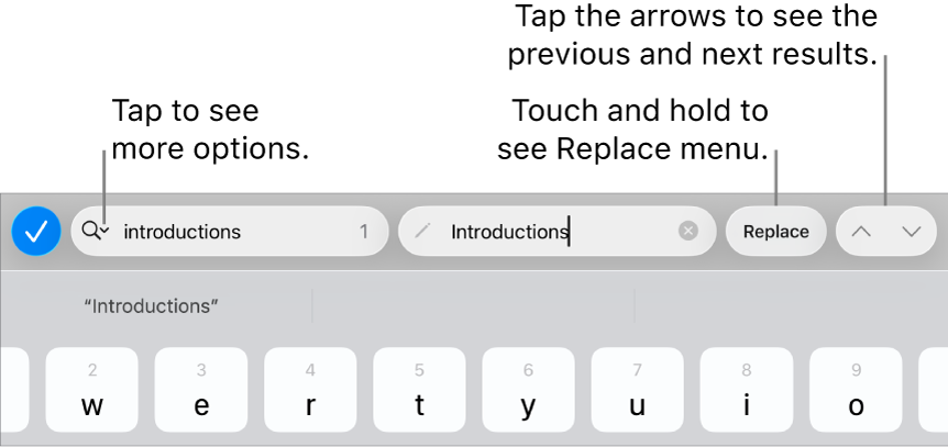 The Find & Replace controls above the keyboard with callouts to the Search Options, Replace, Go Up and Go Down buttons.