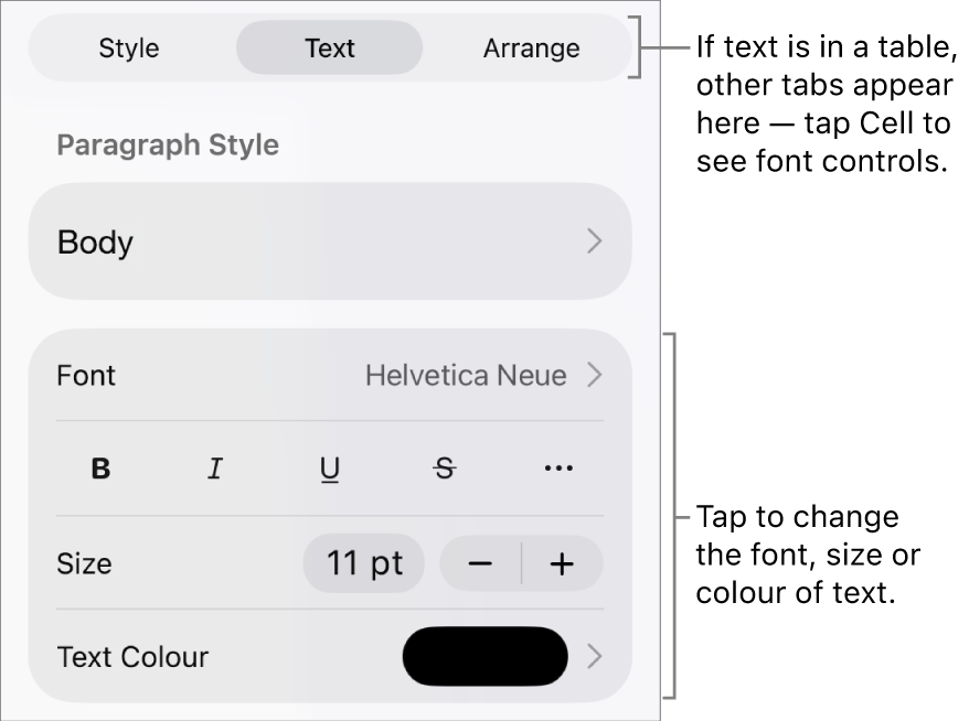 Text controls in the Format menu for setting paragraph and character styles, font, size and colour.