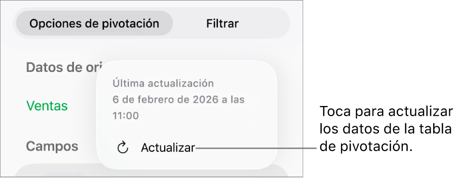 Pestaña “Opciones de pivotación” que muestra la opción de actualizar la tabla de pivotación.
