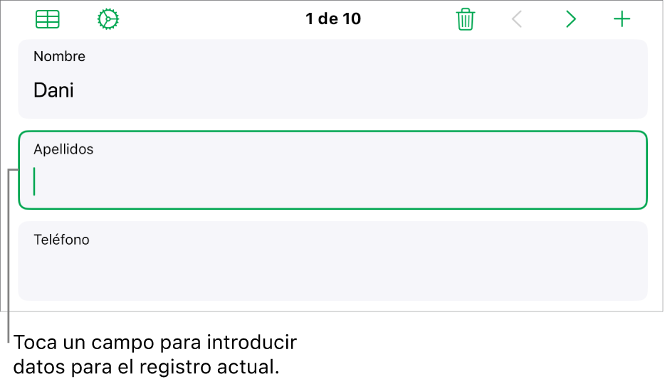 Un registro de un formulario, con un campo activo con un punto de inserción.