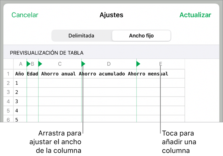 Los ajustes de importación de un archivo de texto de ancho fijo.
