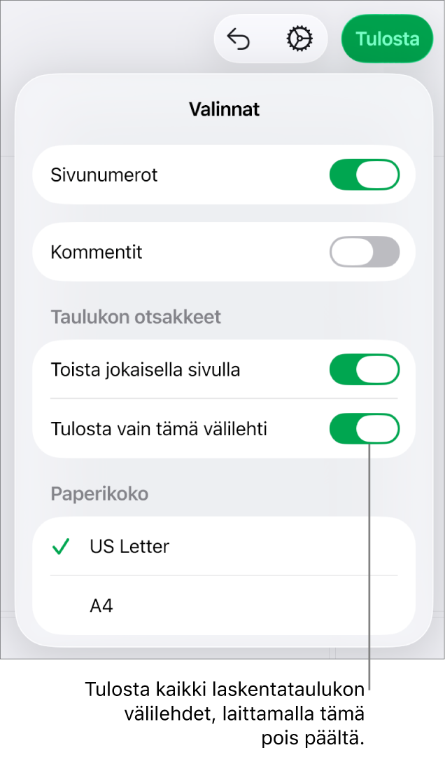 Tulostuksen esikatselu, jossa on säätimiä sivunumeroiden näyttämiseen, otsakkeiden toistamiseen joka sivulla, paperikoon muuttamiseen ja koko laskentataulukon tai vain nykyisen välilehden tulostamiseen.