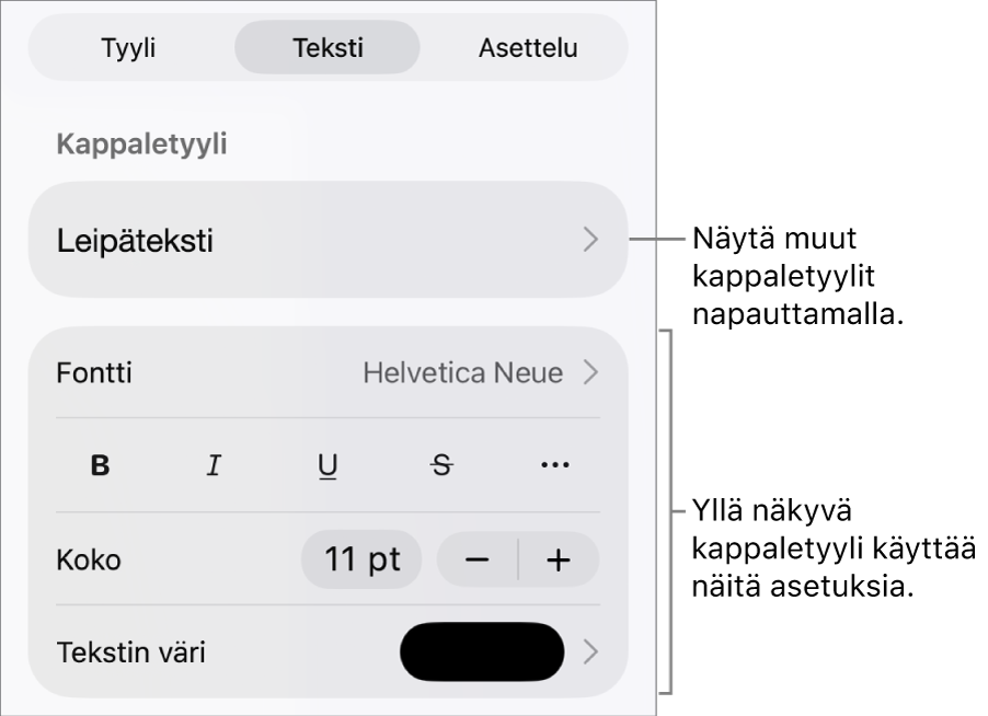 Muoto-valikko, jossa on tekstisäätimet kappale- ja merkkityylien, fontin, koon ja värin valitsemista varten.