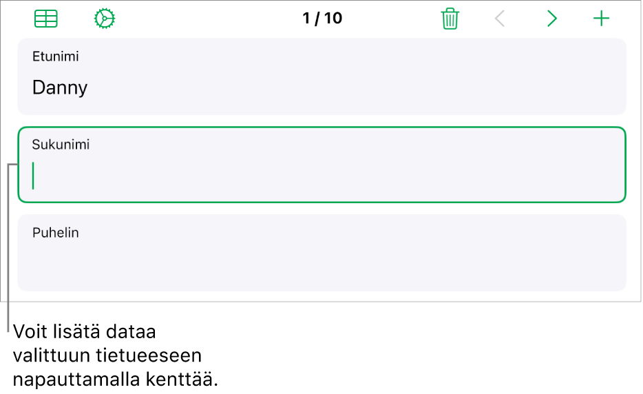 Lomakkeen tietue, jossa näkyy aktiivinen kenttä ja lisäyskohta.