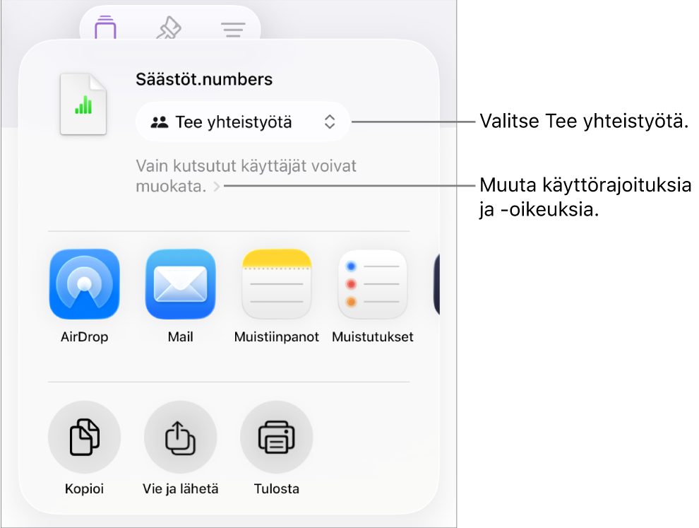 Jaa-valikko, jossa on ylhäällä valittuna Tee yhteistyötä, ja sen alla ovat käyttöoikeus- ja lupa-asetukset.