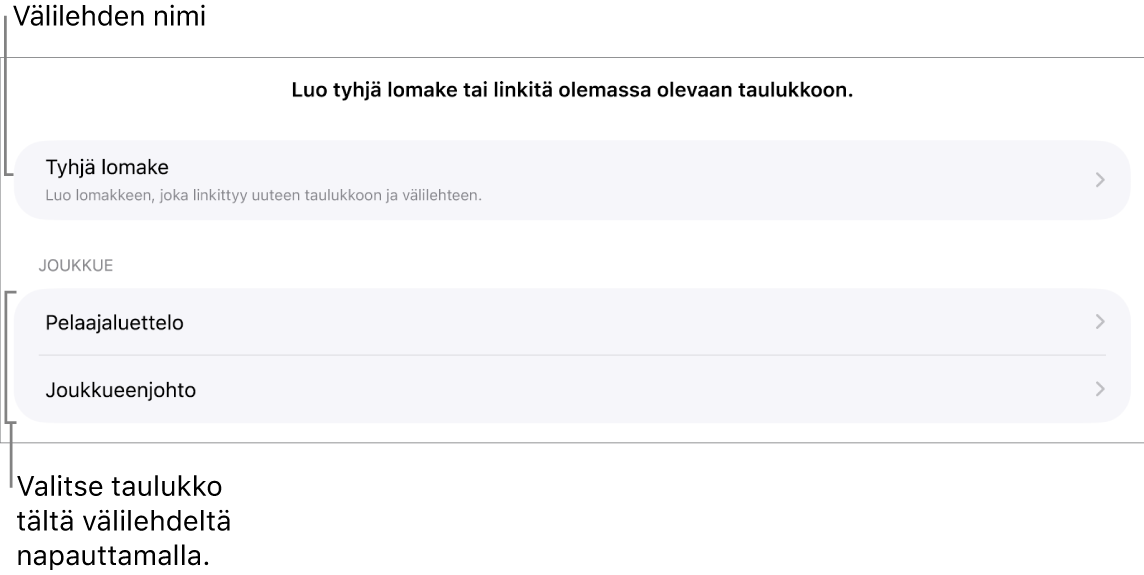 Samassa laskentataulukossa olevien taulukoiden luettelo ja ylhäällä valinta, jolla voi luoda tyhjän lomakkeen.
