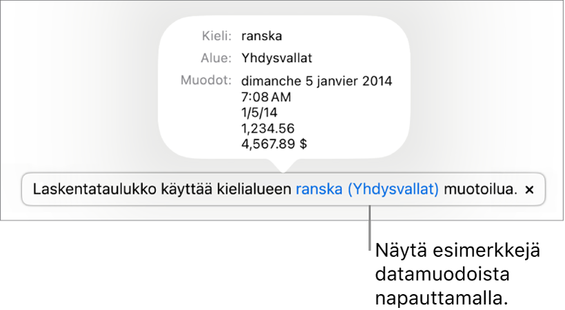 Eri kieli- ja alueasetuksen ilmoitus, jossa on esimerkkejä kyseisen kielen ja alueen muotoilusta.