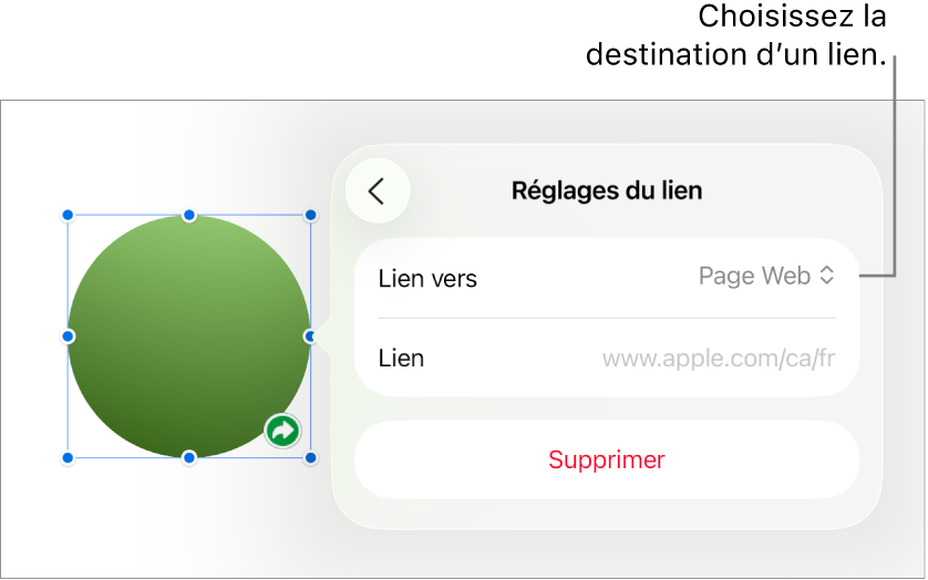 Les commandes Réglages du lien avec l’option Page Web sélectionnée au-dessus du bouton Supprimer.