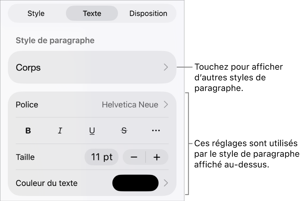 Menu Format avec commandes de texte permettant de définir les styles, la police, la taille et la couleur des paragraphes et des caractères.