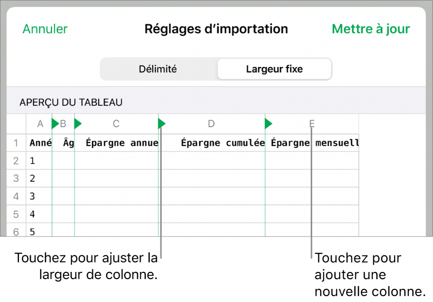 Réglages d’importation d’un fichier texte à largeur fixe.