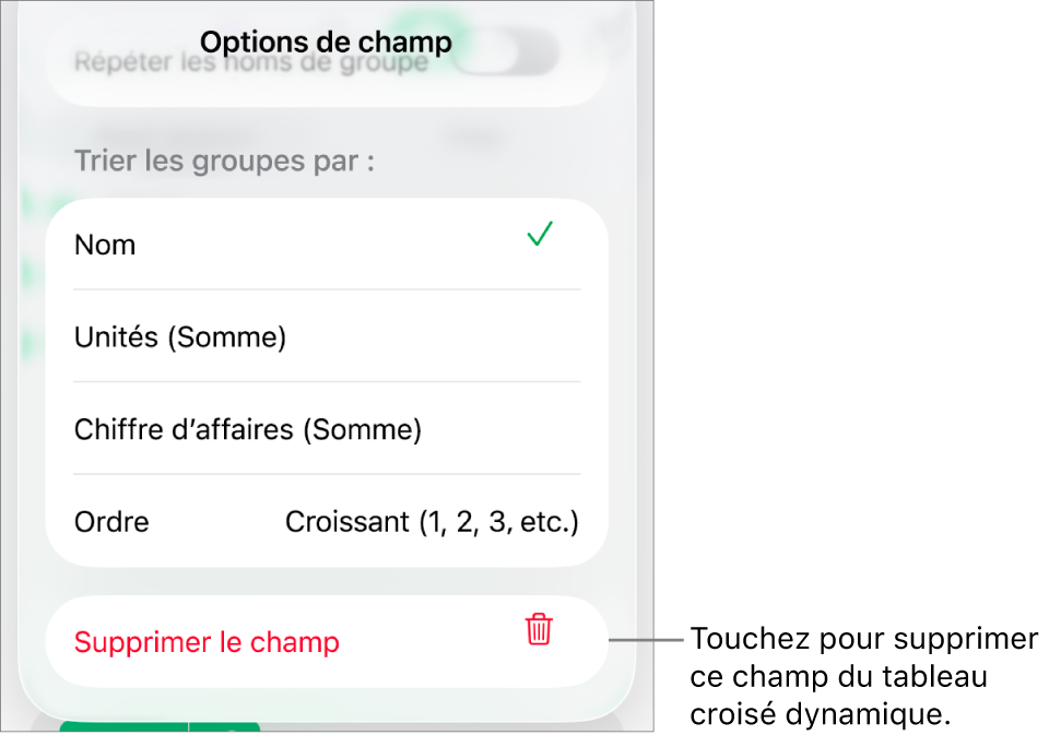 Menu Options de champ avec commandes de regroupement et de tri des données, ainsi que l’option de suppression de champ.
