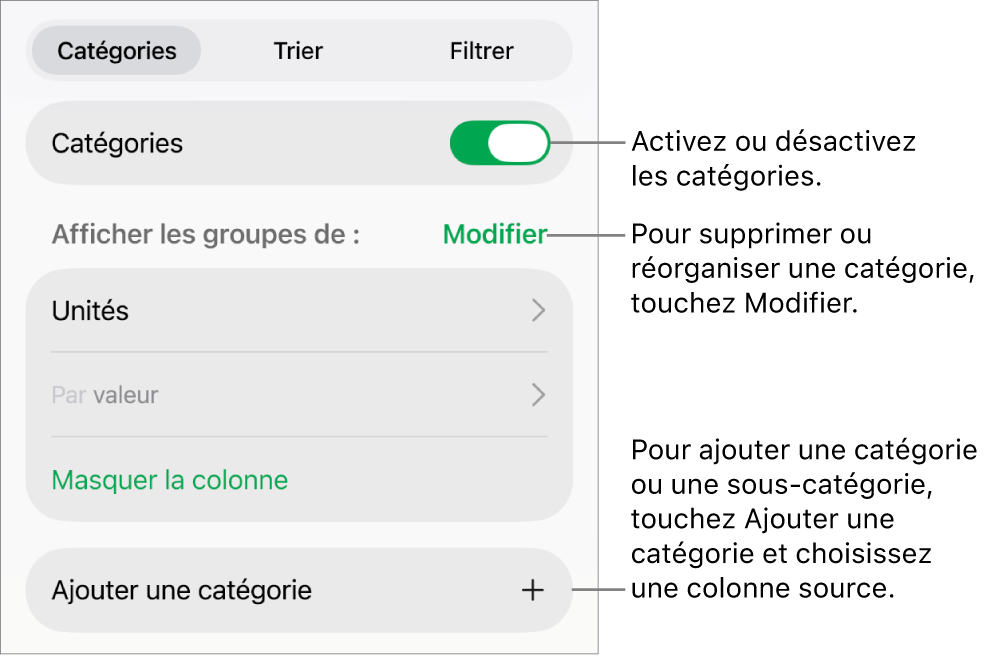 Le menu Catégories pour l’iPad avec des options pour désactiver des catégories, supprimer des catégories, regrouper des données, masquer une colonne source et ajouter des catégories.